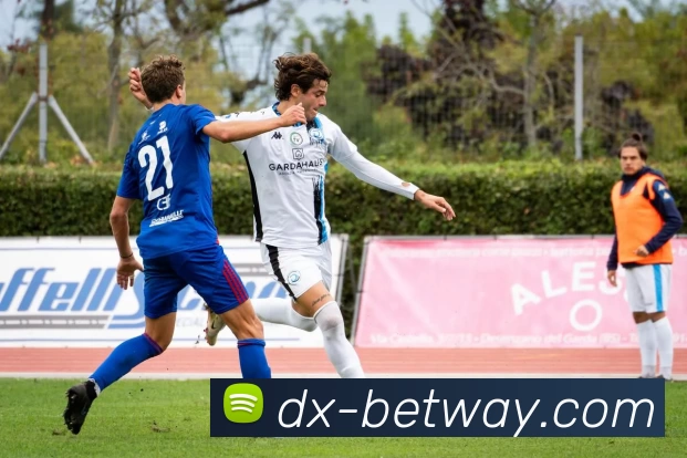 必威体育平台平台生态图